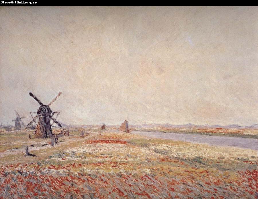 Claude Monet Field of Flowers and Windmills Near Leiden